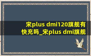 宋plus dmi120旗舰有快充吗_宋plus dmi旗舰型和旗舰plus区别